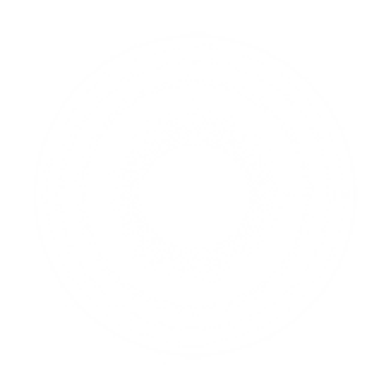 White Transparent Gradient Overlay