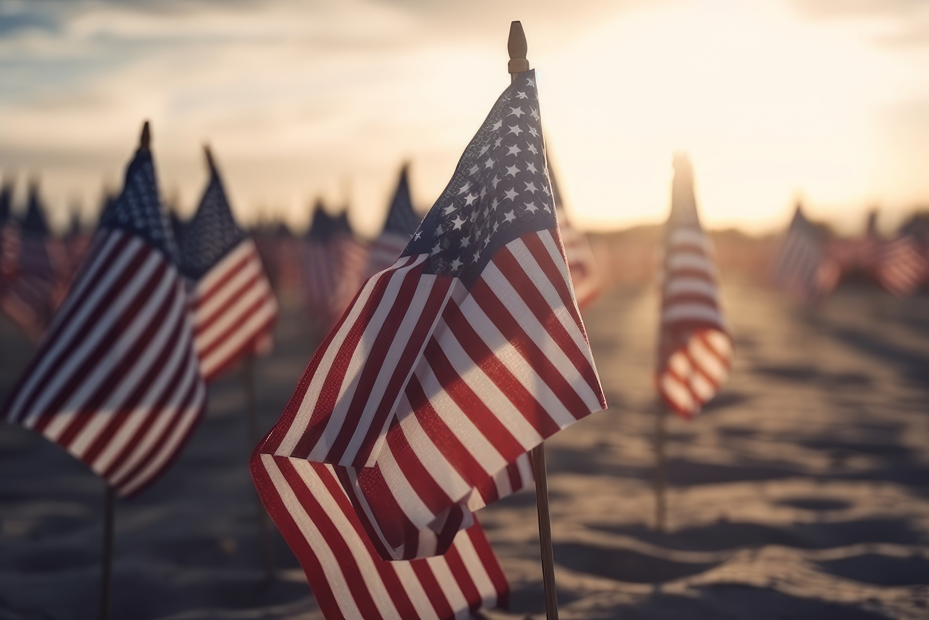 Memorial Day Flags